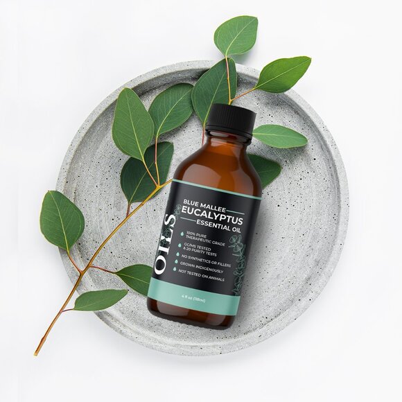 Eucalyptus Essential Oil (Blue Mallee) 4 oz - Picture 6 of 8